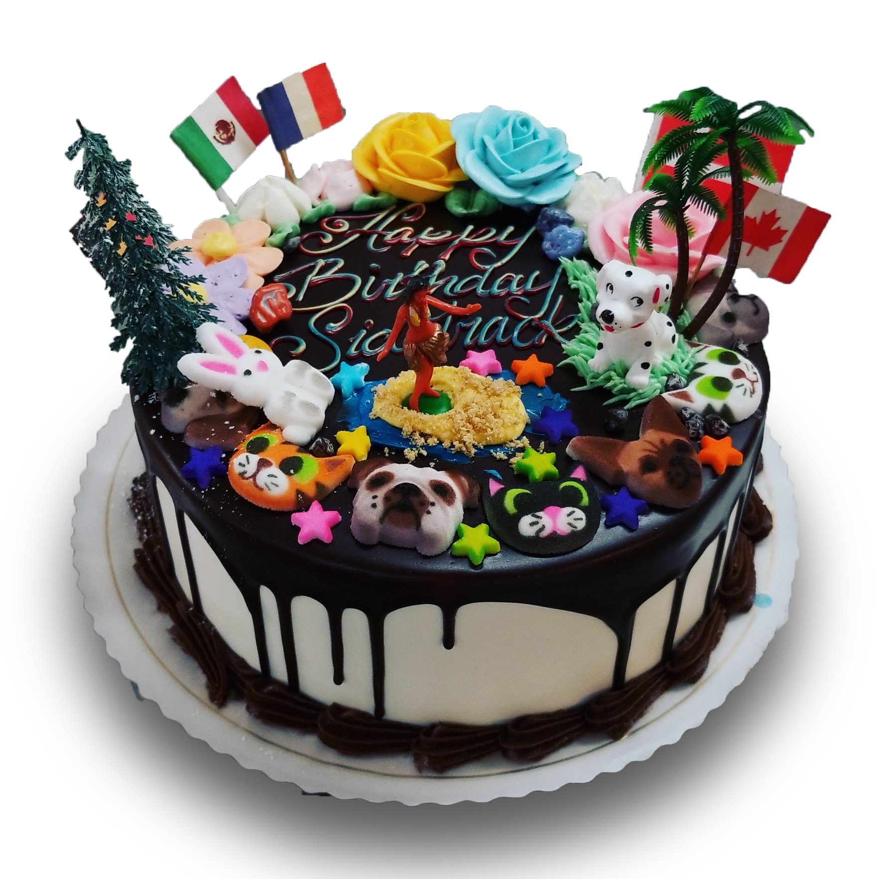 AB014A. fun and random birthday cake with flags, roses, animals and hula dancer